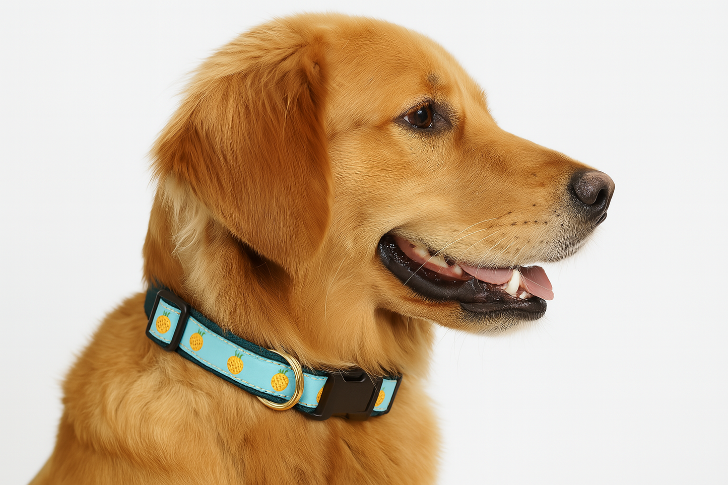 Luxury Pineapple Dog Collar – Designer USA-Made Tropical Collar for Large Dogs