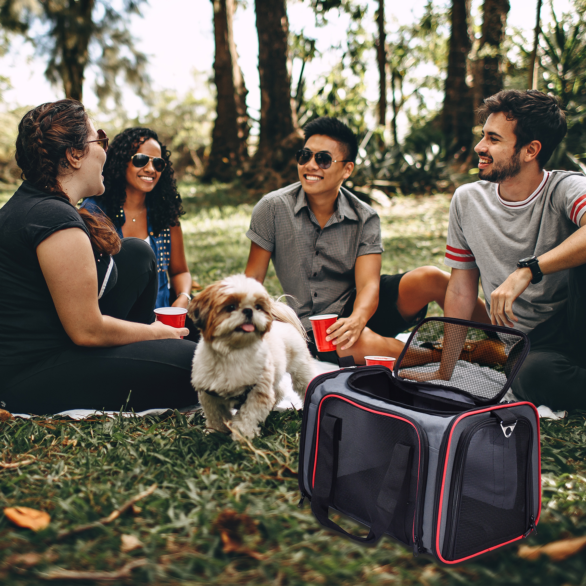 GOOPAWS Soft-Sided Kennel Pet Carrier for Small Dogs, Cats, Puppy, Airline Approved Cat Carriers Dog Carrier Collapsible, Travel Handbag & Car Seat