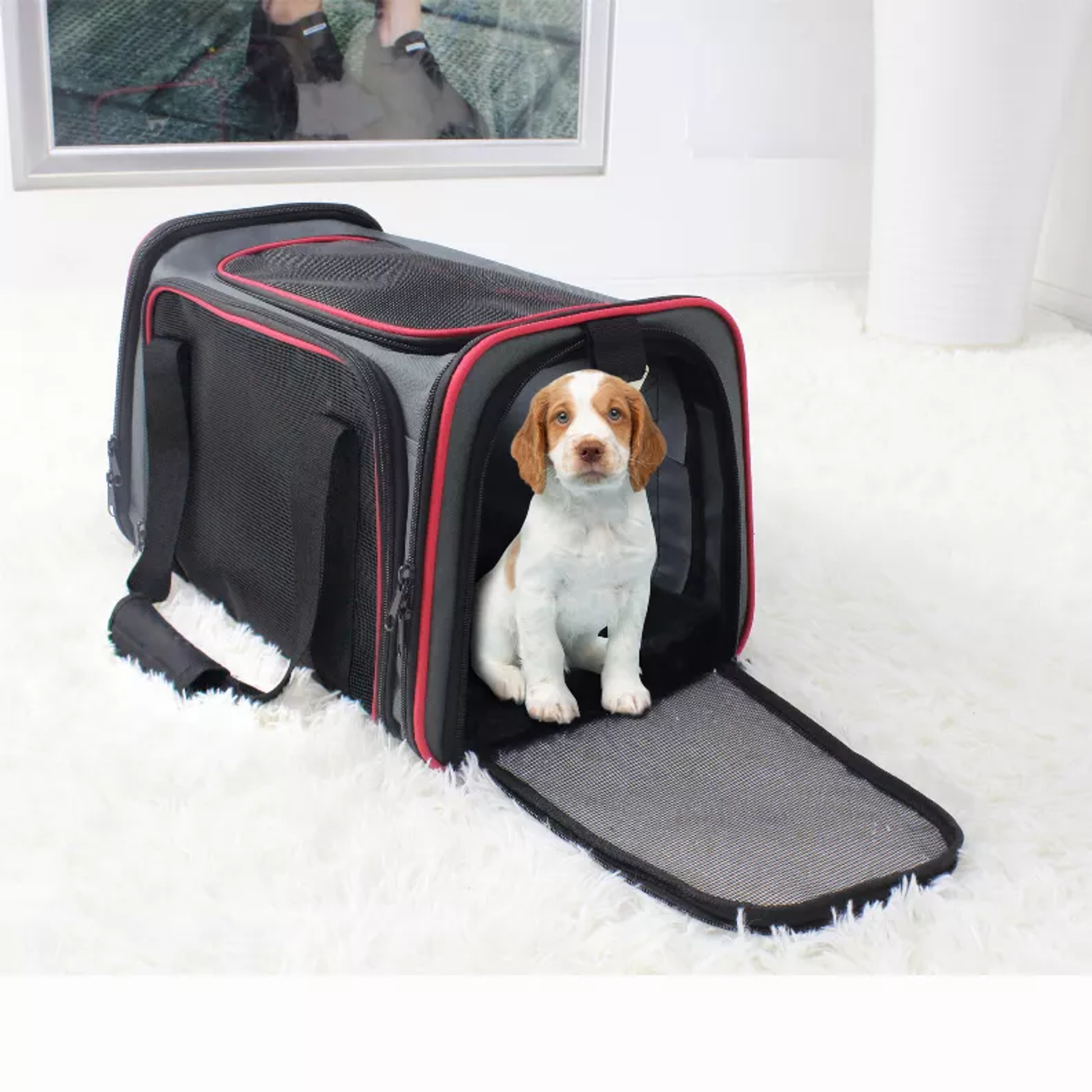 GOOPAWS Soft-Sided Kennel Pet Carrier for Small Dogs, Cats, Puppy, Airline Approved Cat Carriers Dog Carrier Collapsible, Travel Handbag & Car Seat
