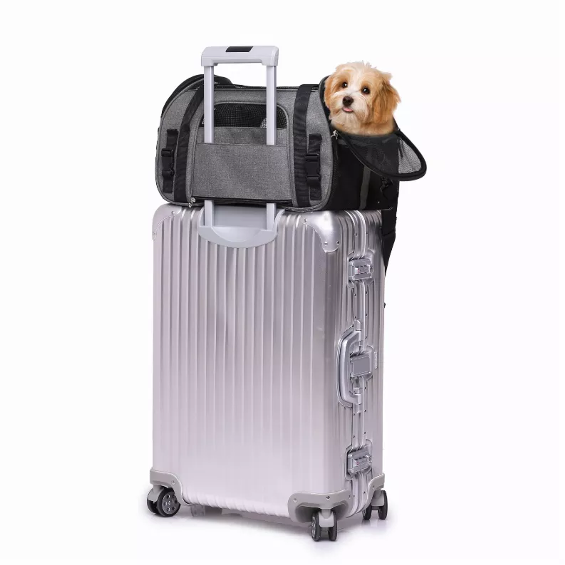 JESPET Soft-Sided Kennel Pet Carrier for Small Dogs, Cats, Puppy, Airline Approved Cat Carriers Dog Carrier Collapsible, Travel Handbag & Car Seat