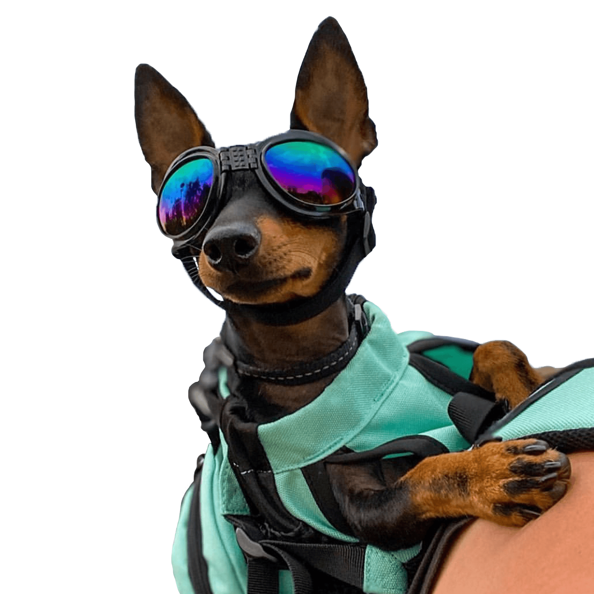 K9 Sport Shades