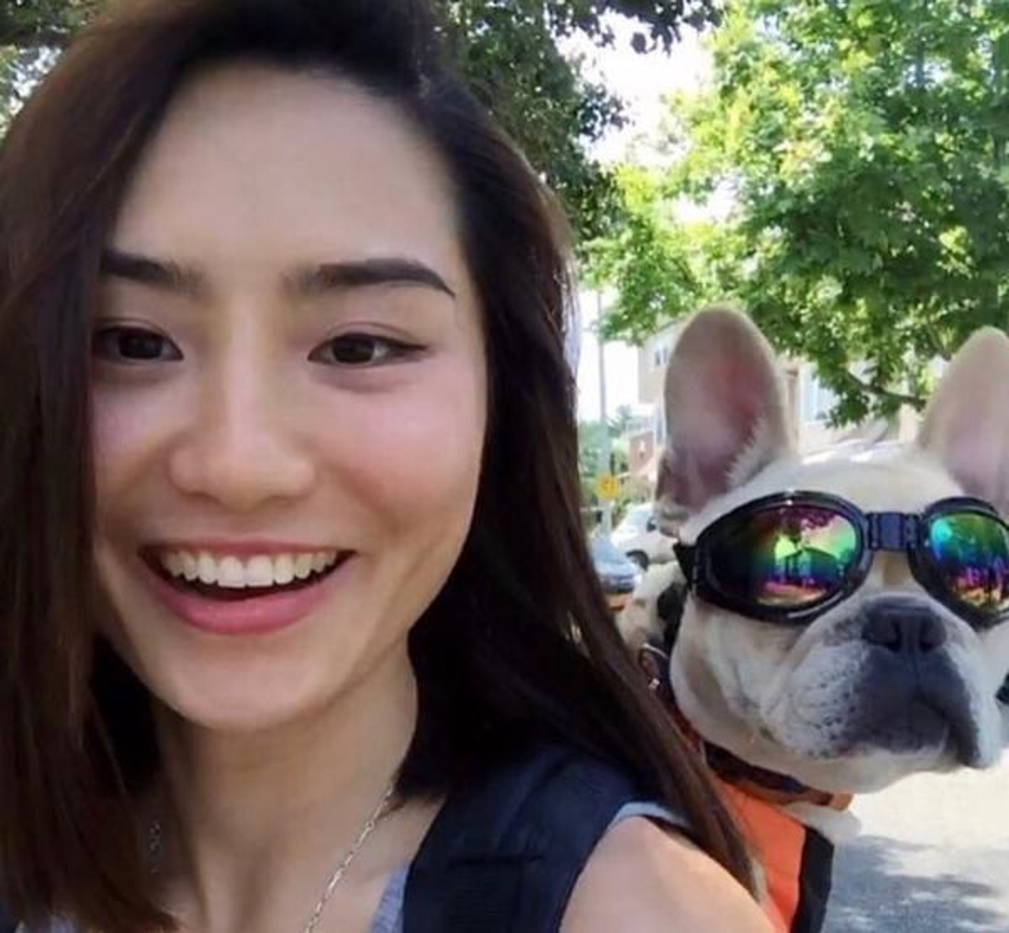 K9 Sport Shades