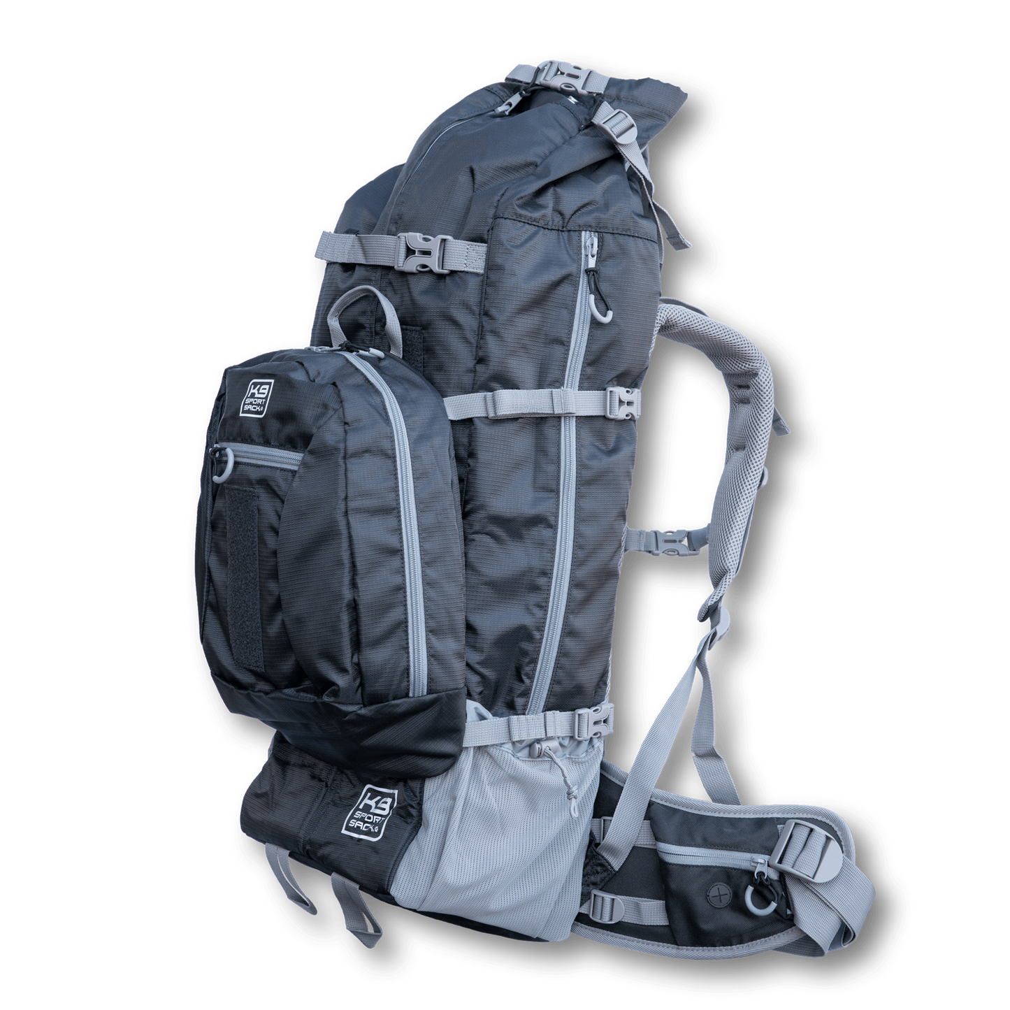 Rover 2 | Big Dog Carrier & Backpacking Pack
