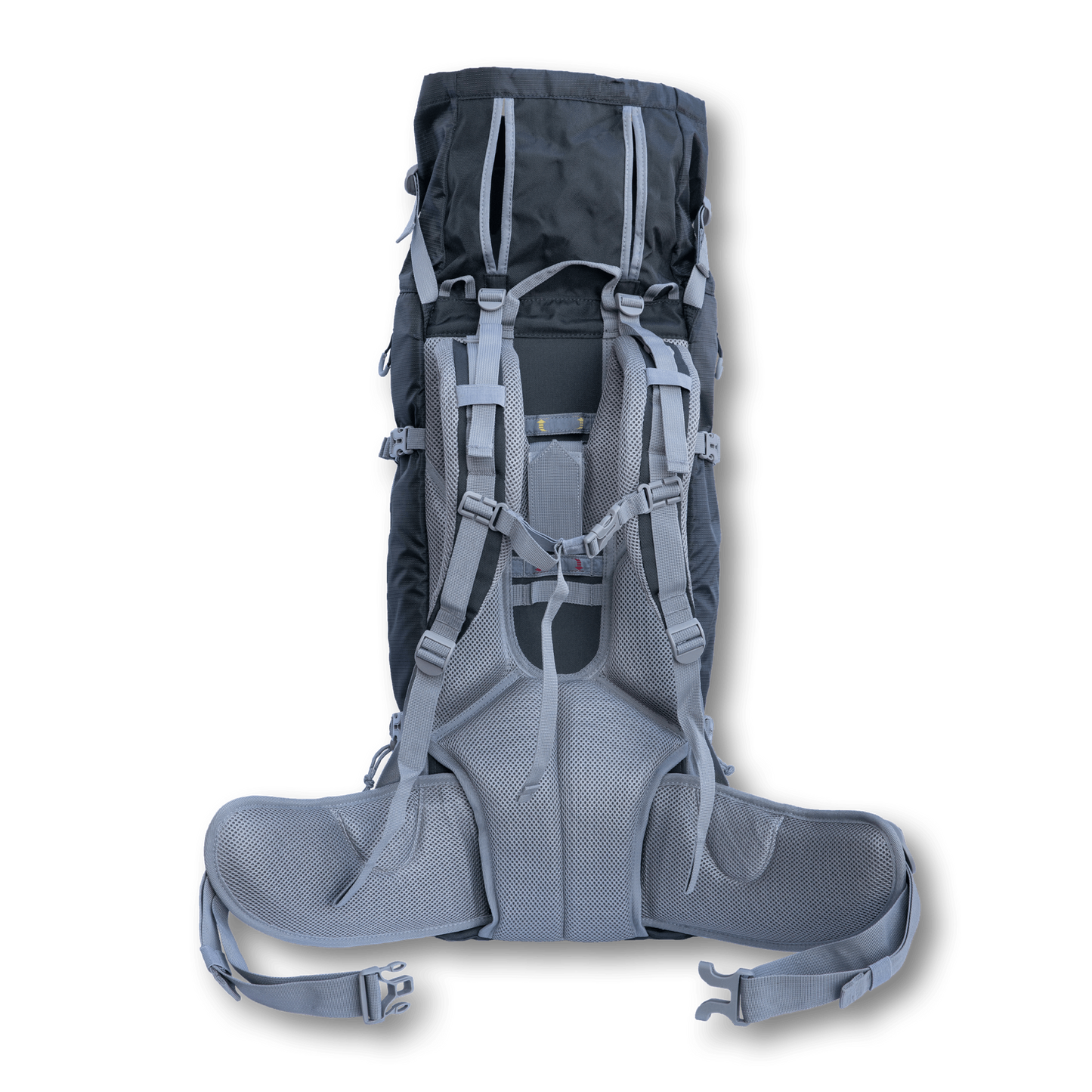 Rover 2 | Big Dog Carrier & Backpacking Pack