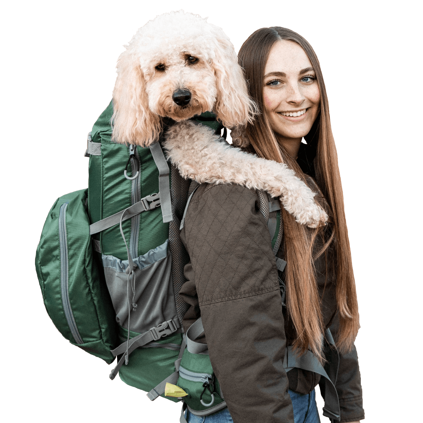 Rover 2 | Big Dog Carrier & Backpacking Pack