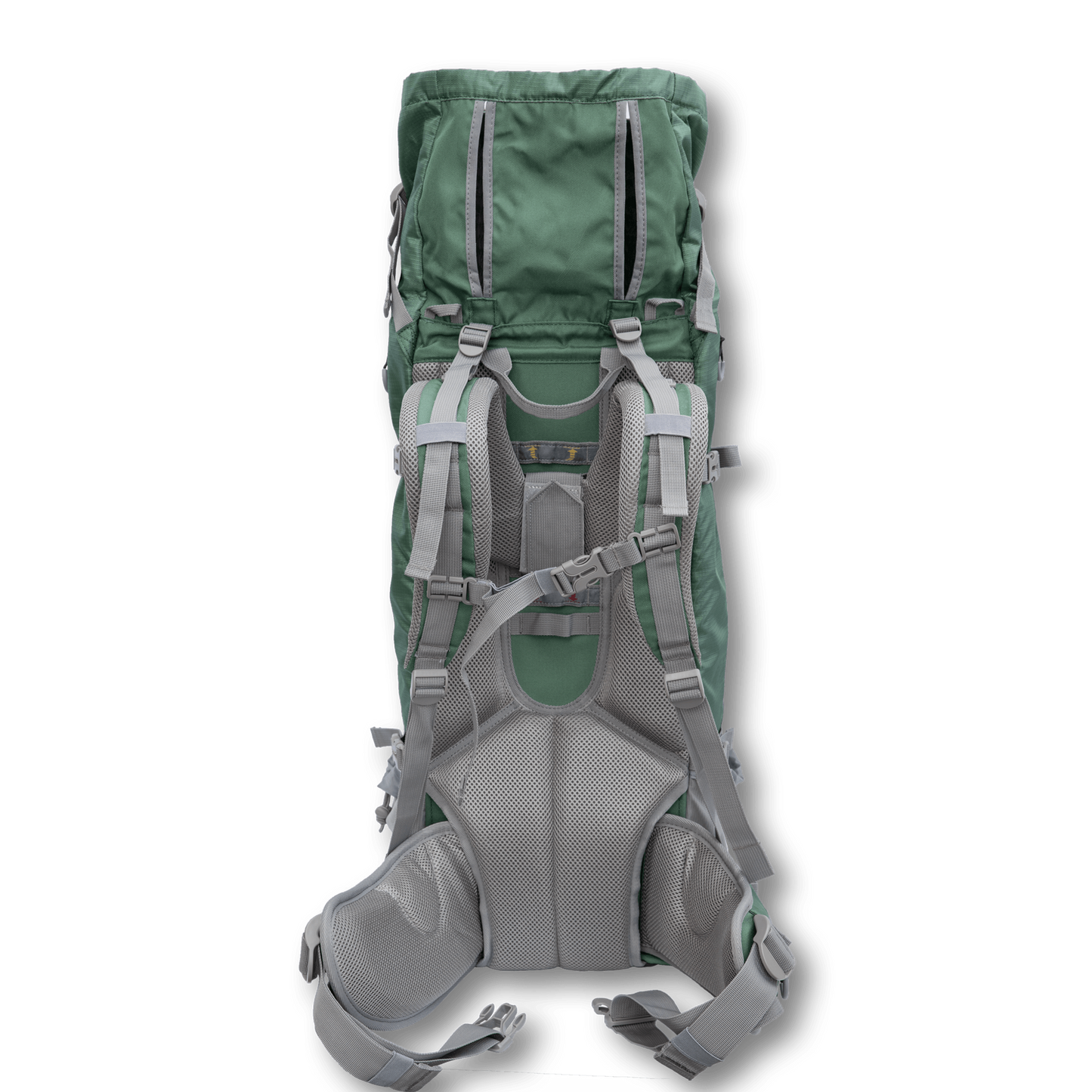 Rover 2 | Big Dog Carrier & Backpacking Pack