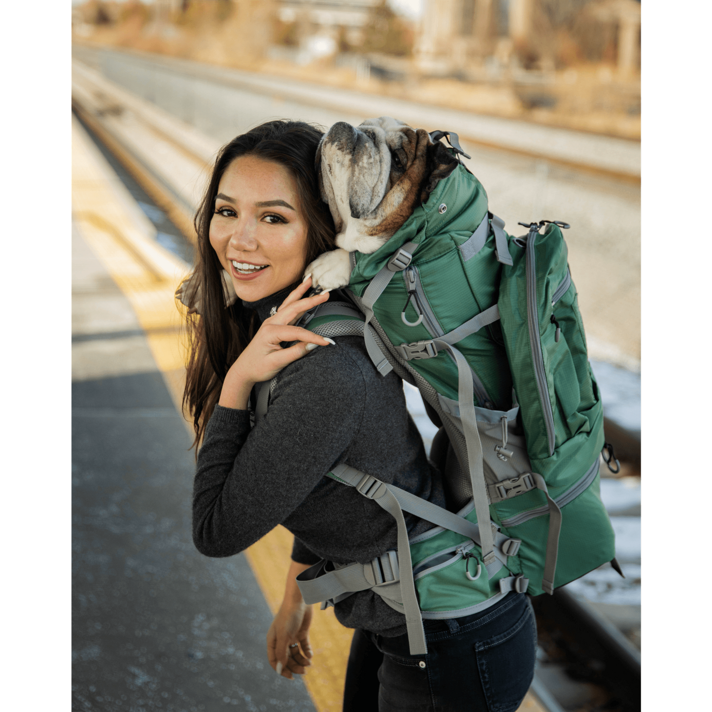Rover 2 | Big Dog Carrier & Backpacking Pack