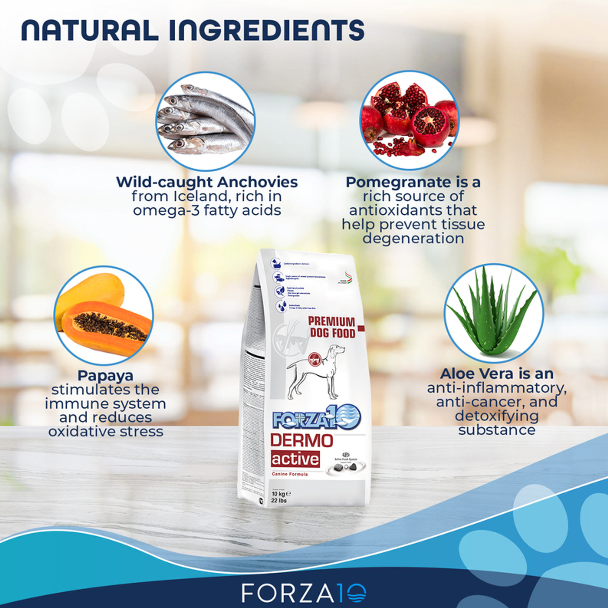 Forza10 Active Dermo Dry Dog Food