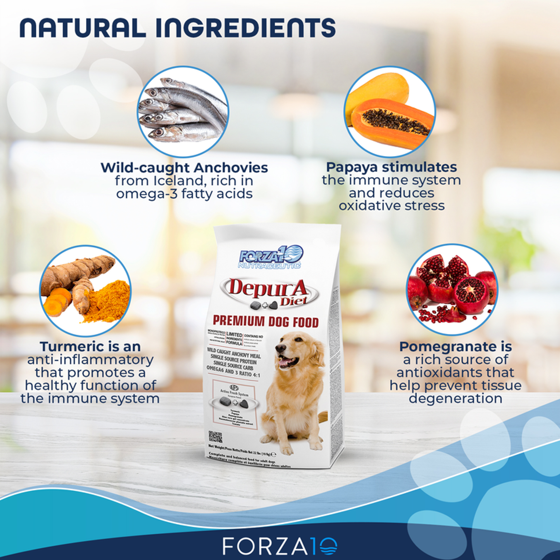 Forza10 Active Depura Fish Diet Dry Dog Food