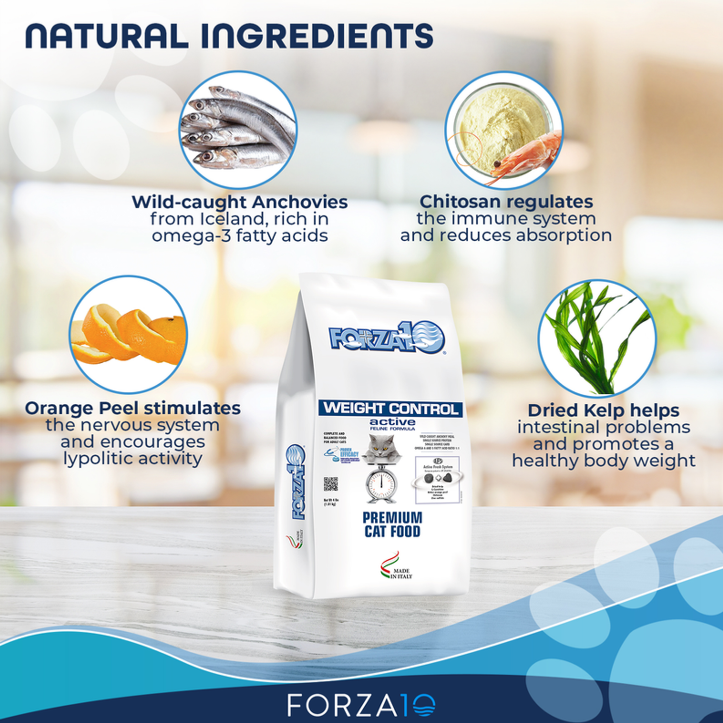 Forza10 Active Weight Control Diet Dry Dog Food