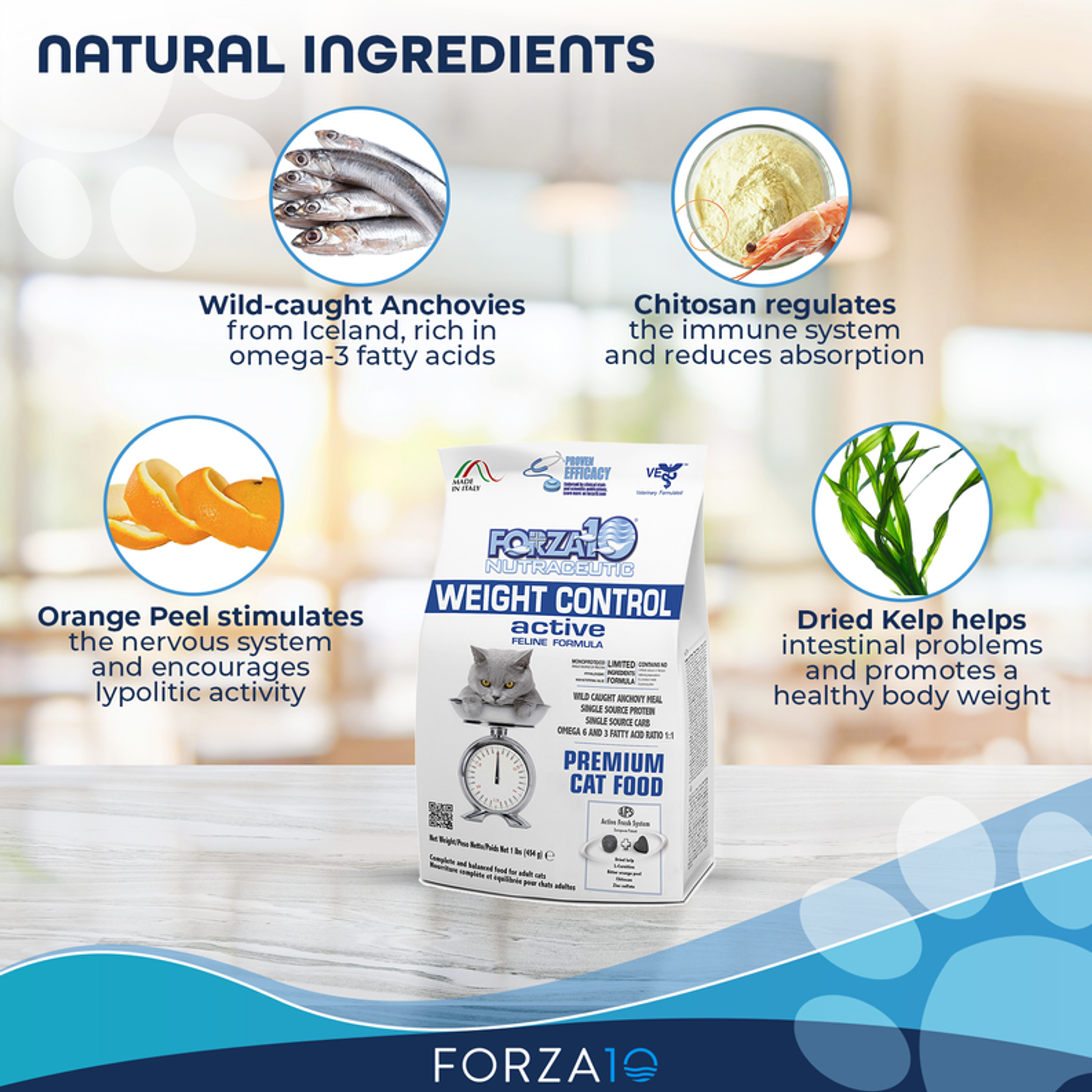 Forza10 Active Weight Control Diet Dry Dog Food