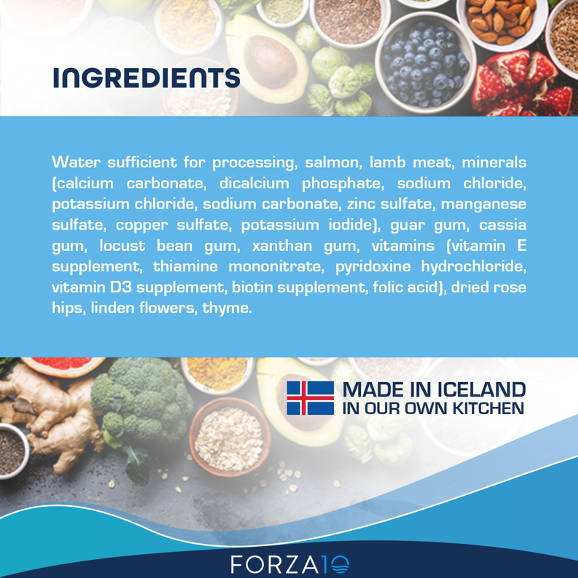 Forza10 Legend Puppy Icelandic Salmon & Lamb Recipe Grain Free Canned Dog Food