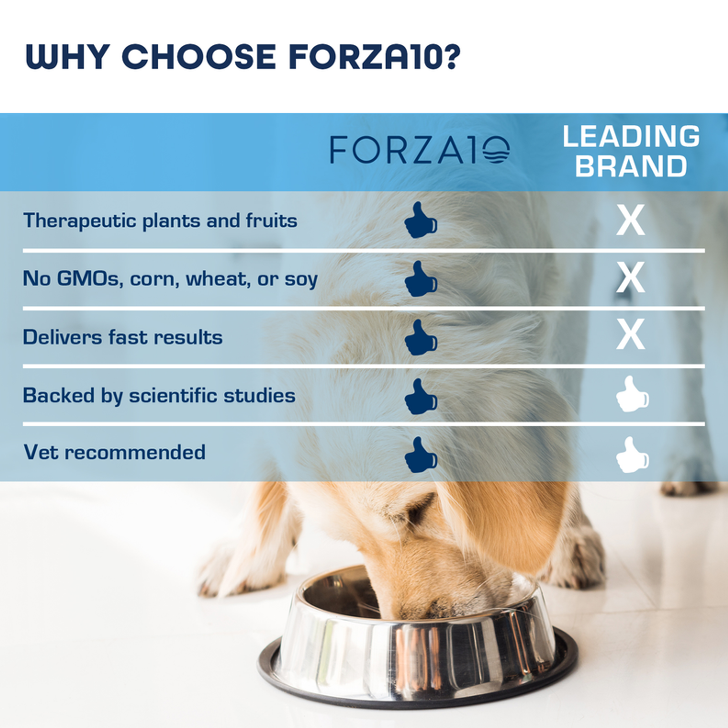 Forza 10 Legend New Zealand Grain Free Dry Dog Food