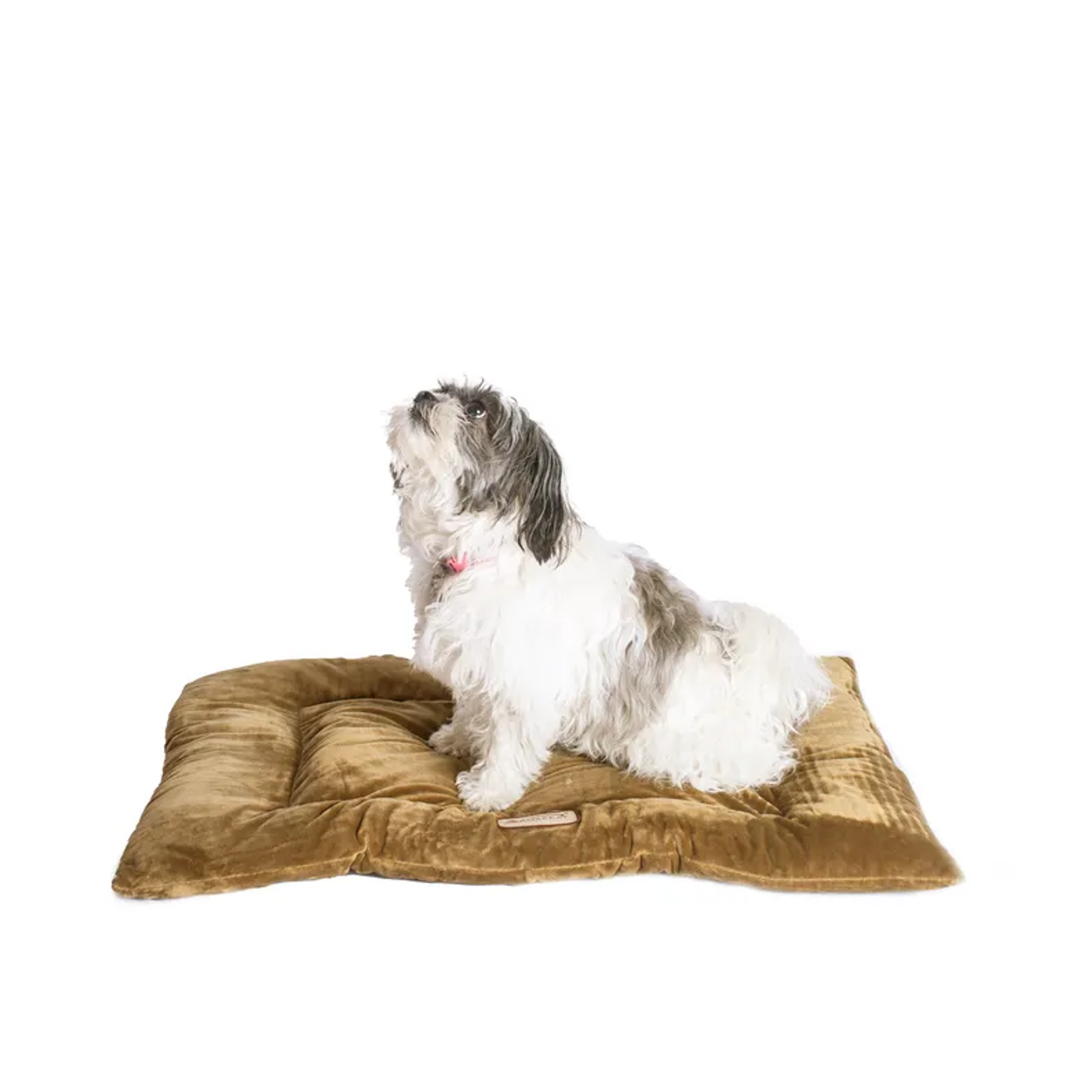 Armarkat Pet Bed Mat, Dog Crate Soft Pad W Poly Fill Cushion