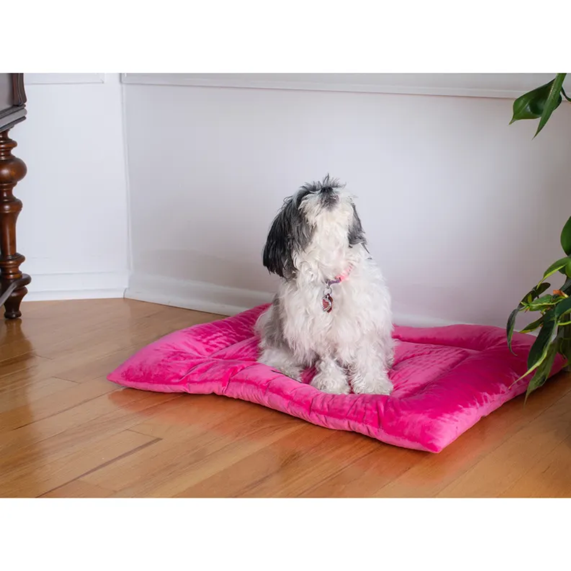 Armarkat Pet Bed Mat, Dog Crate Soft Pad W Poly Fill Cushion