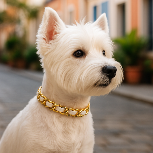 XS Leatherorzo Dog Necklace – Gold Chain with Leatherette Weave | Luxe Dog Jewelry