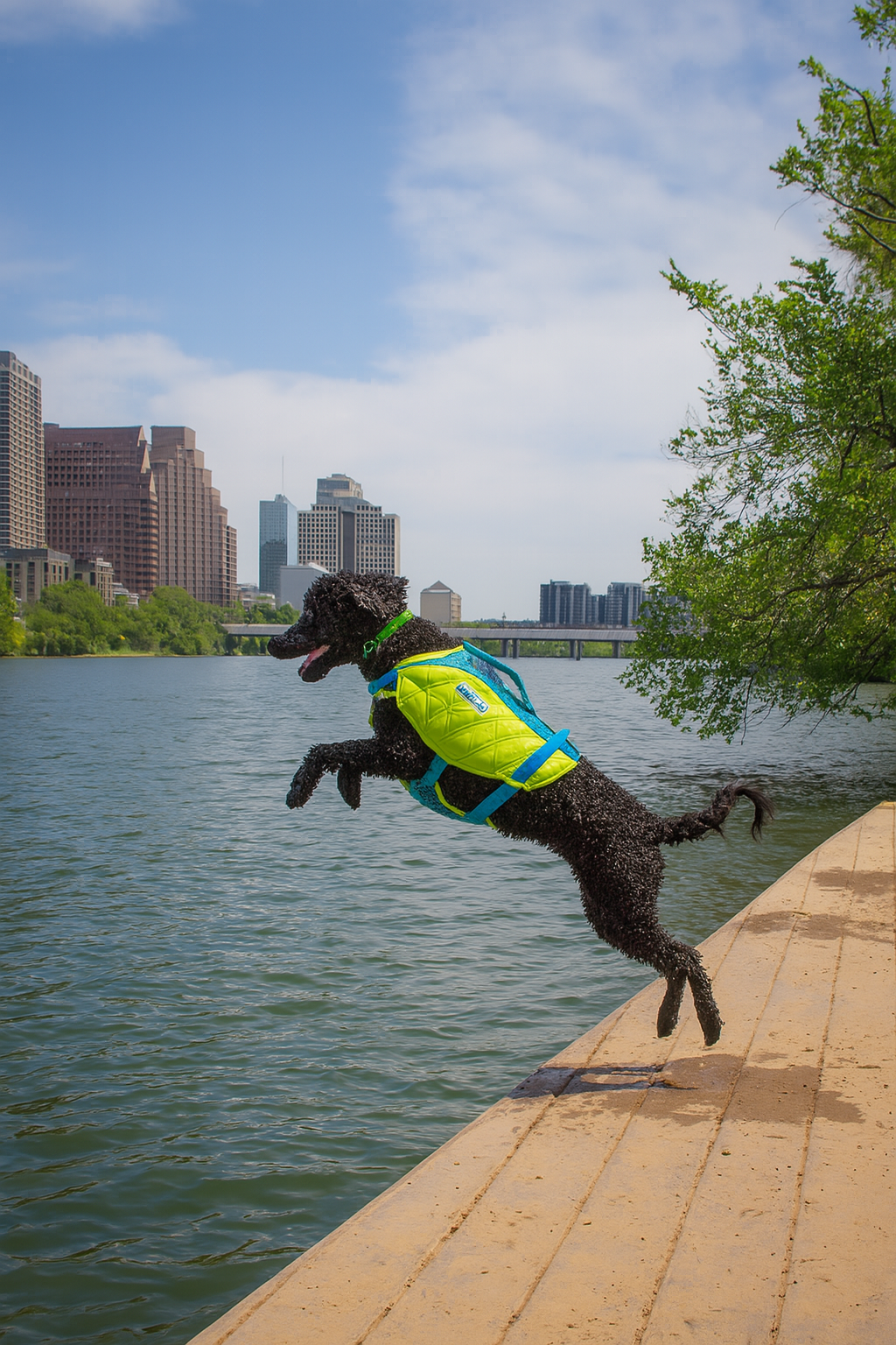Outward Hound Standley Sport Dog Life Jacket β High-Performance Swim Vest for Dogs