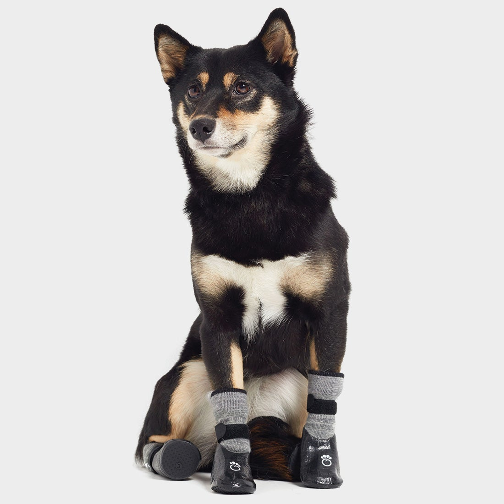 Gf Pet Dog Booties