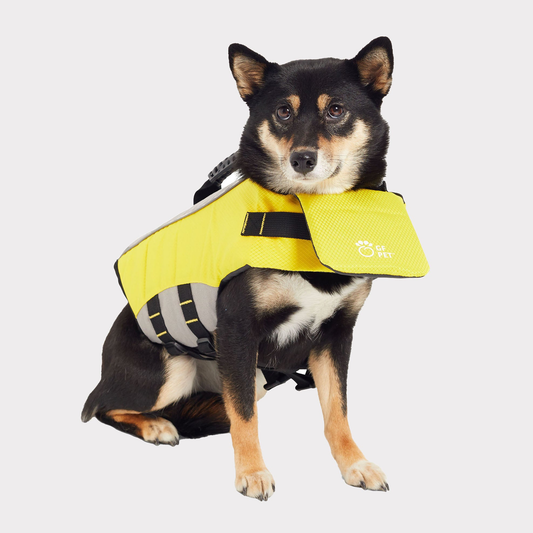 Gf Pet Life Vest