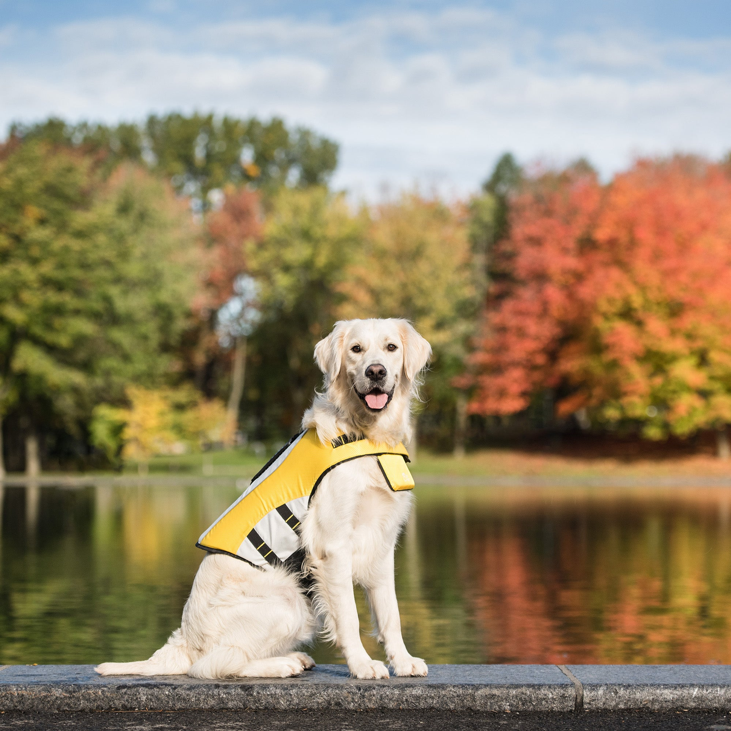 Gf Pet Life Vest