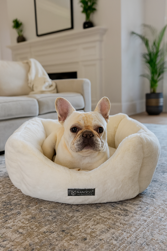 Luxury Cloud bed with Orthopedic Support, Reversible Design for Small Pets