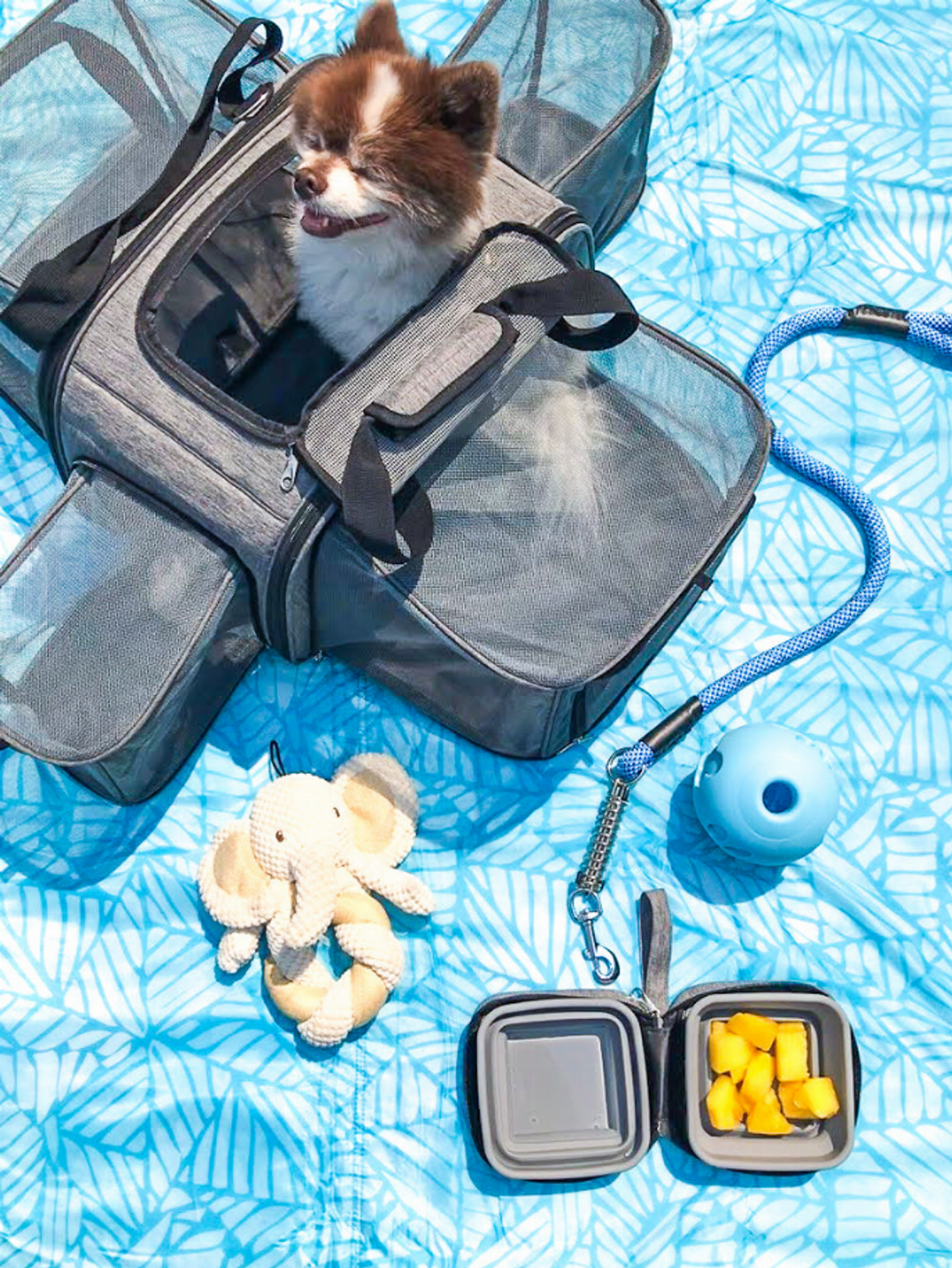 Happy Camper Pet Carrier