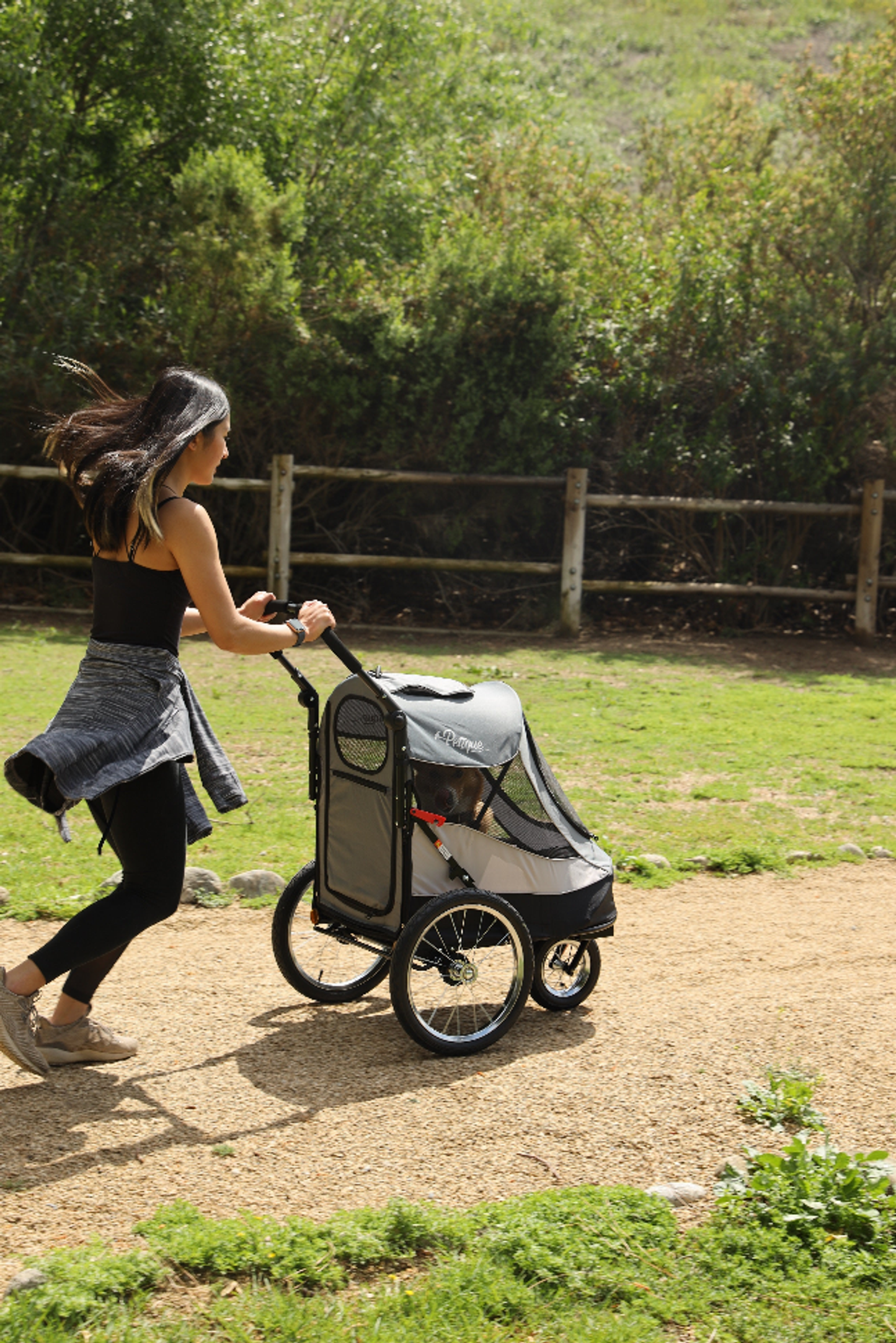 Trailblazer Pet Jogger