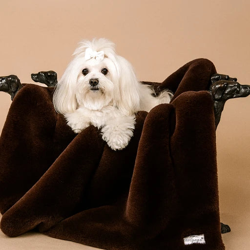 Luxury Divine Plus Plush Dog Blanket – Ultra Soft, Double-Sided, Machine Washable