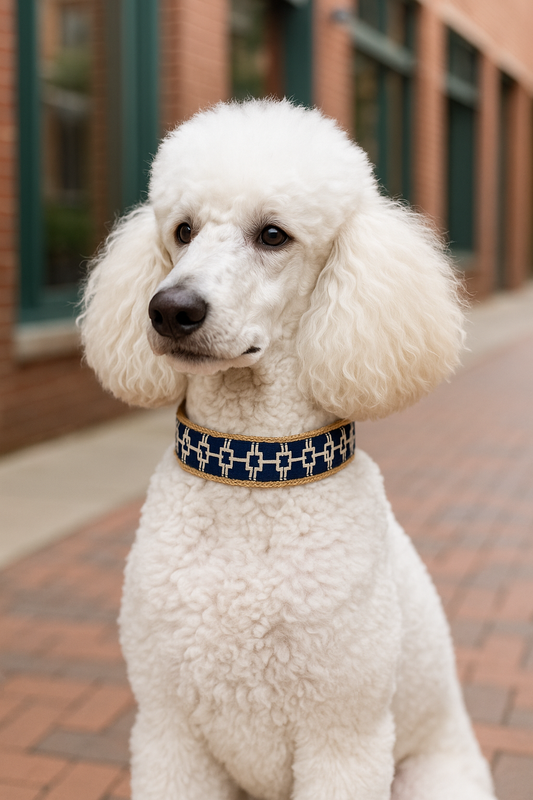 Gridlock Designer Dog Collar – Large, Heavy-Duty, Handcrafted, Soft & Stylish