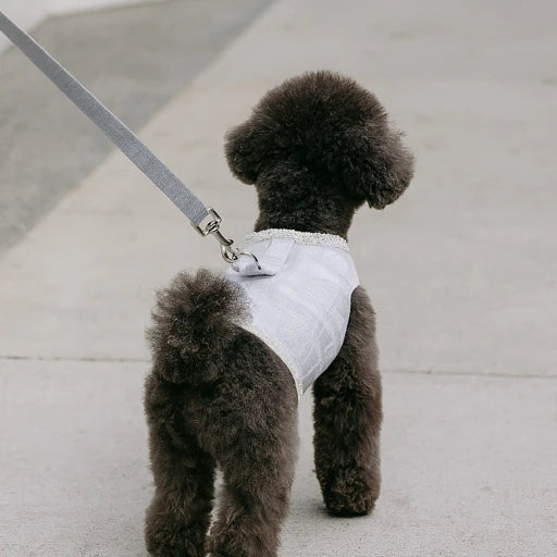 Elegant Pearl Lace Dog Harness – Genevieve XS by Hello Doggie