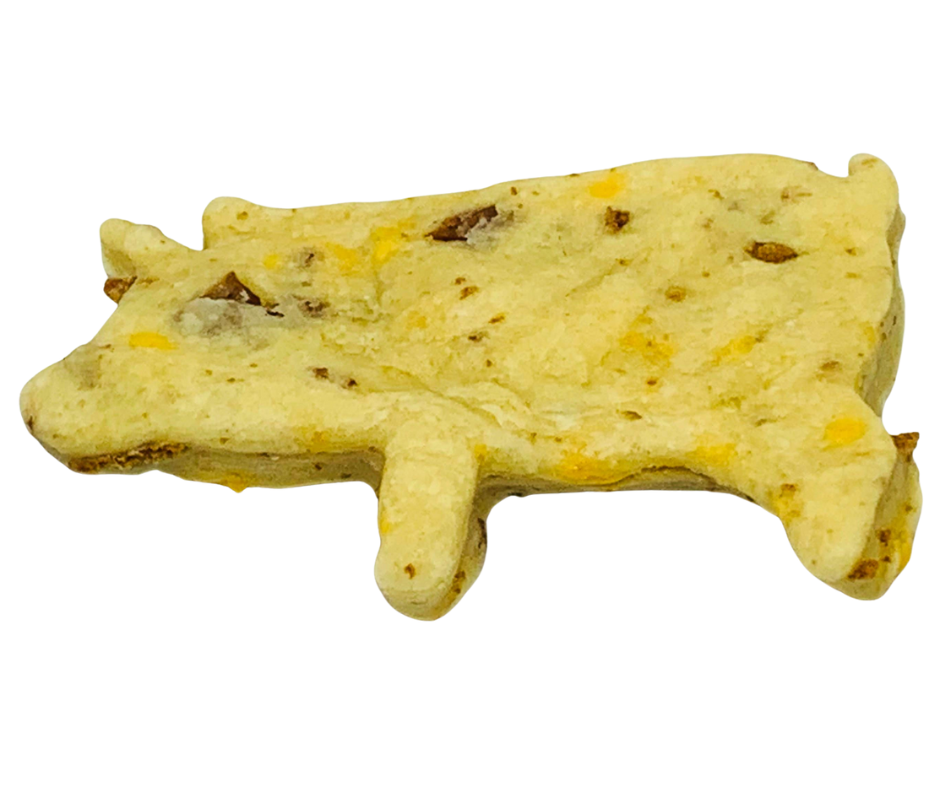 Bacon Cheddar Southern Dog Biscuit – Small Savory Treat with Real Turkey Bacon