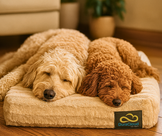 DuraCloud Orthopedic Pet Bed and Crate Pad