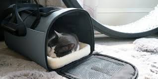Rolling Pet Backpack Carrier with Wheels – On-the-Go Expandable Travel Bag for Small Dogs & Cats, Airline Capable