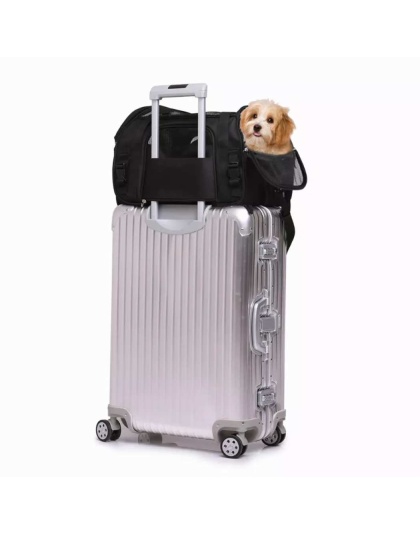 Black - JESPET Soft-Sided Kennel Pet Carrier for Small Dogs, Cats, Puppy, Airline Approved Cat Carriers Dog Carrier Collapsible, Travel Handbag & Car Seat - 17" x 9" x 11.5" Black - JESPET Soft-Sided Kennel Pet Carrier for Small Dogs, Cats, Puppy, Airline Approved Cat Carriers Dog Carrier Collapsible, Travel Handbag & Car Seat - 17" x 9" x 11.5"