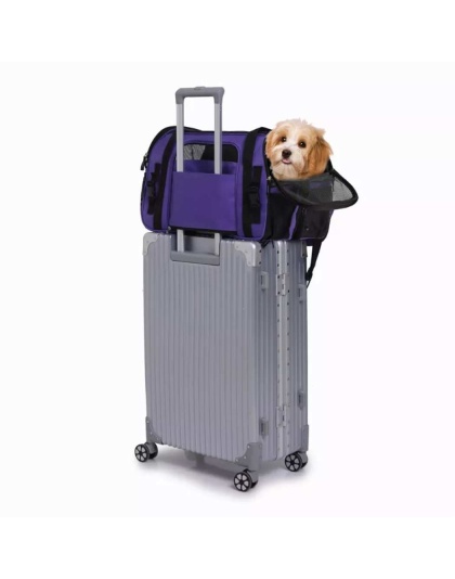 Purple - JESPET Soft-Sided Kennel Pet Carrier for Small Dogs, Cats, Puppy, Airline Approved Cat Carriers Dog Carrier Collapsible, Travel Handbag & Car Seat - 19" x 10" x 13" Purple - JESPET Soft-Sided Kennel Pet Carrier for Small Dogs, Cats, Puppy, Airline Approved Cat Carriers Dog Carrier Collapsible, Travel Handbag & Car Seat - 19" x 10" x 13"