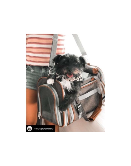 Platinum Gray - Mr. Peanut's Gold Series Big Apple Size Expandable Pet Carrier - Platinum Gray - Mr. Peanut's Gold Series Big Apple Size Expandable Pet Carrier -