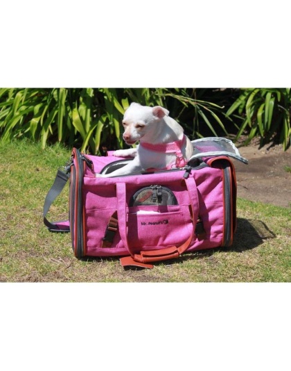 Rosa - Mr. Peanut's Gold Series Pet Carrier - 18 in L x 10.5 in W x 11 in H Rosa - Mr. Peanut's Gold Series Pet Carrier - 18 in L x 10.5 in W x 11 in H