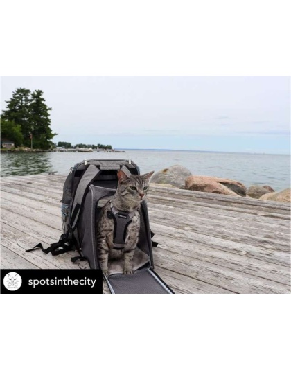 Mr. Peanut's Tahoe Series Expandable Backpack Pet Carrier - 17 in Hx14.4 in Wx9 in D Mr. Peanut's Tahoe Series Expandable Backpack Pet Carrier - 17 in Hx14.4 in Wx9 in D