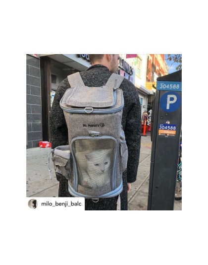 Platinum Gray - Mr. Peanut's Vancouver Series Backpack Pet Carrier for Smaller Cats and Dogs - 17 in L X 11 in W X 11 in H Platinum Gray - Mr. Peanut's Vancouver Series Backpack Pet Carrier for Smaller Cats and Dogs - 17 in L X 11 in W X 11 in H