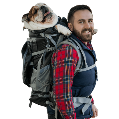 Rover 2 | Big Dog Carrier & Backpacking Pack