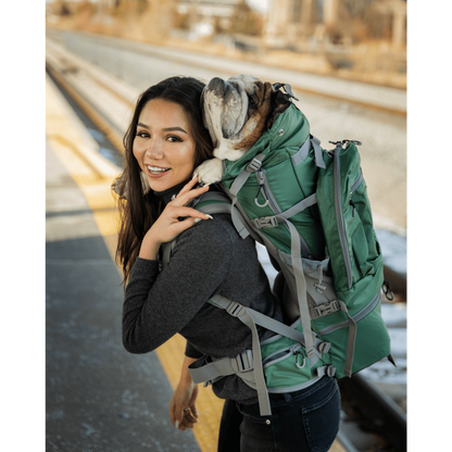 Rover 2 | Big Dog Carrier & Backpacking Pack