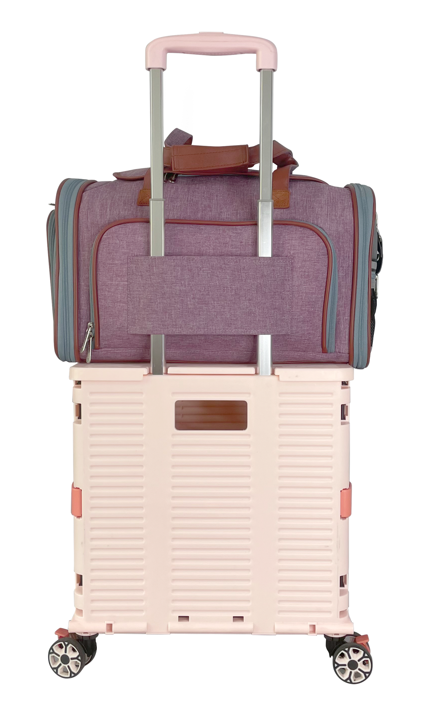 Mr. Peanut's Gold Series Standard Size Expandable Pet Carrier
