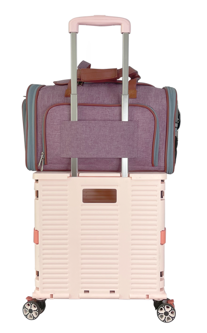 Mr. Peanut's Gold Series Standard Size Expandable Pet Carrier