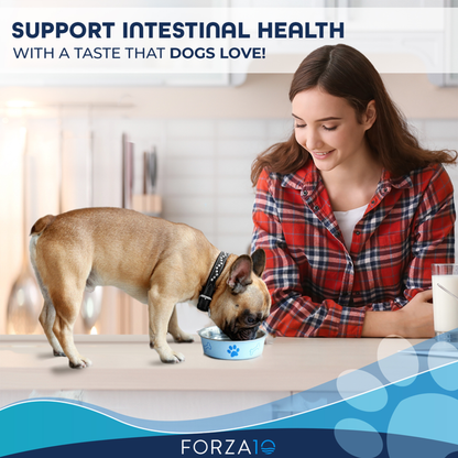 Forza10 Legend Digestion Icelandic Chicken & Lamb Recipe Grain Free Canned Dog Food