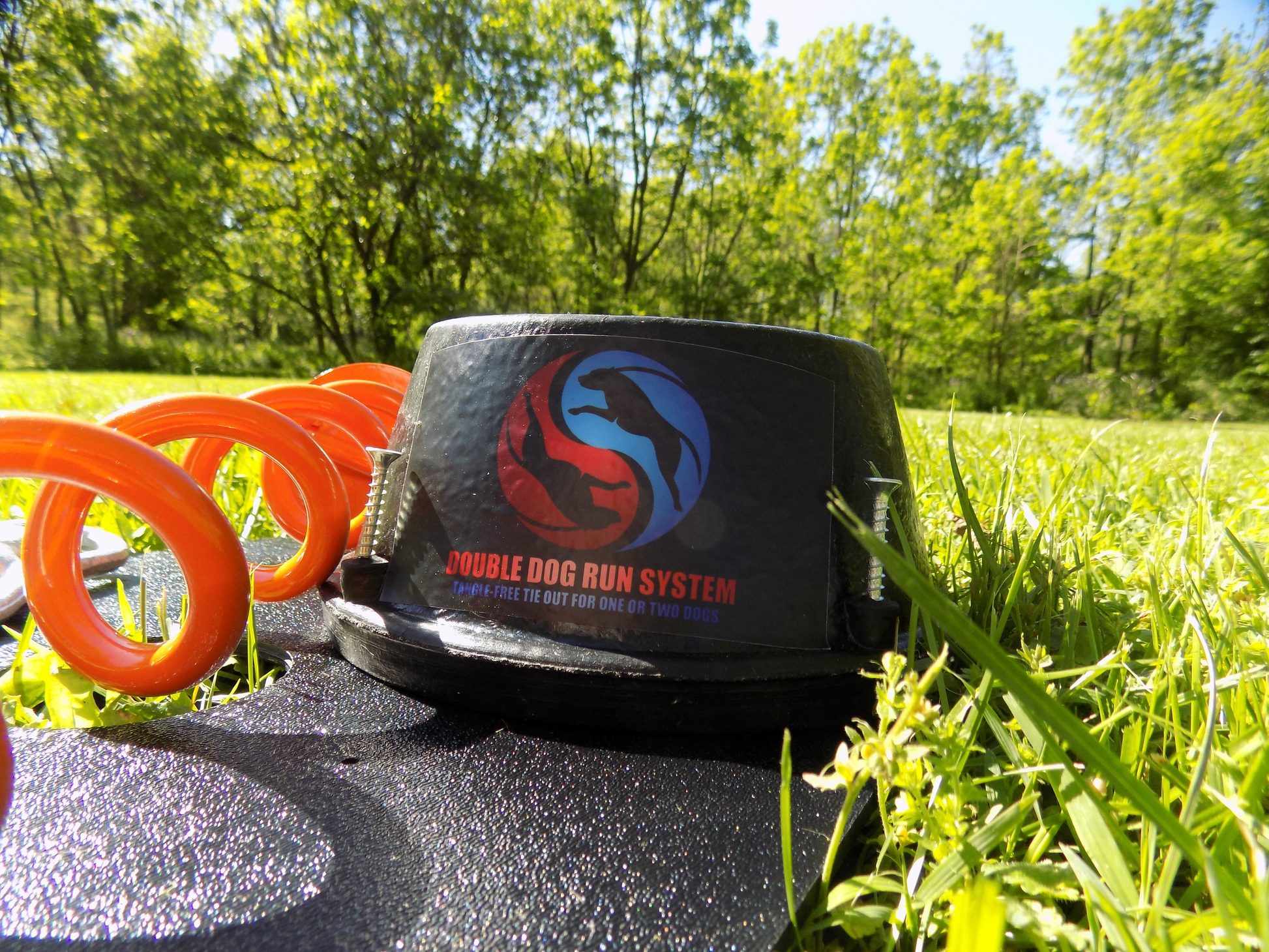 Double Dog Run Tangle-free Two Dog Tie Out Stake