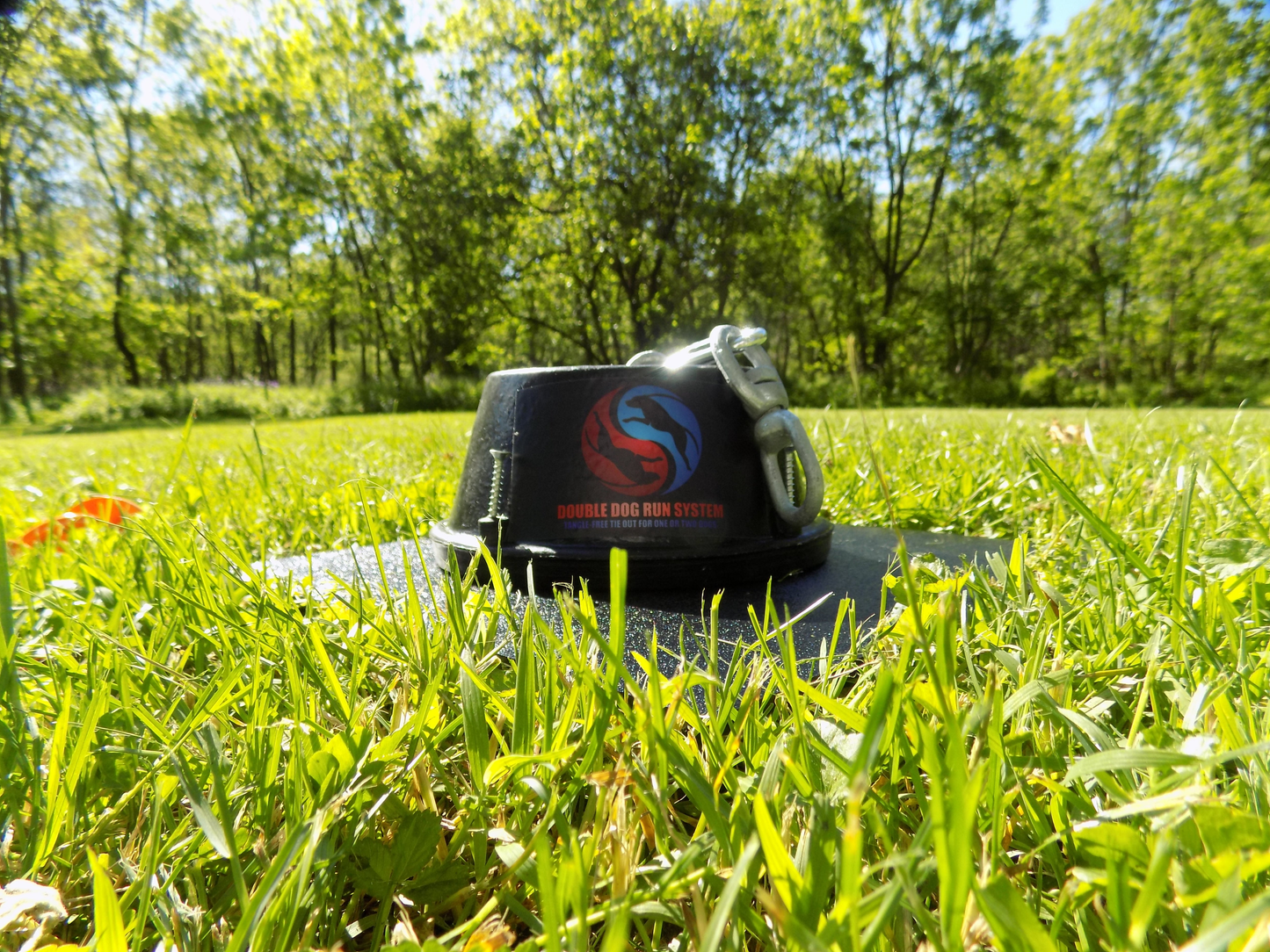 Double Dog Run Tangle-free Two Dog Tie Out Stake