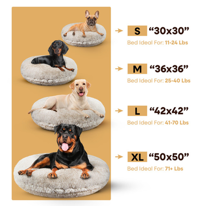 Bagel Bed LG - Blondie