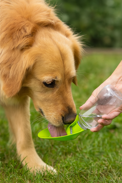 CP Folding Leaf Travel Bottle 18oz – Portable, Leakproof Dog Water Bottle with One-Hand Dispenser (Green)