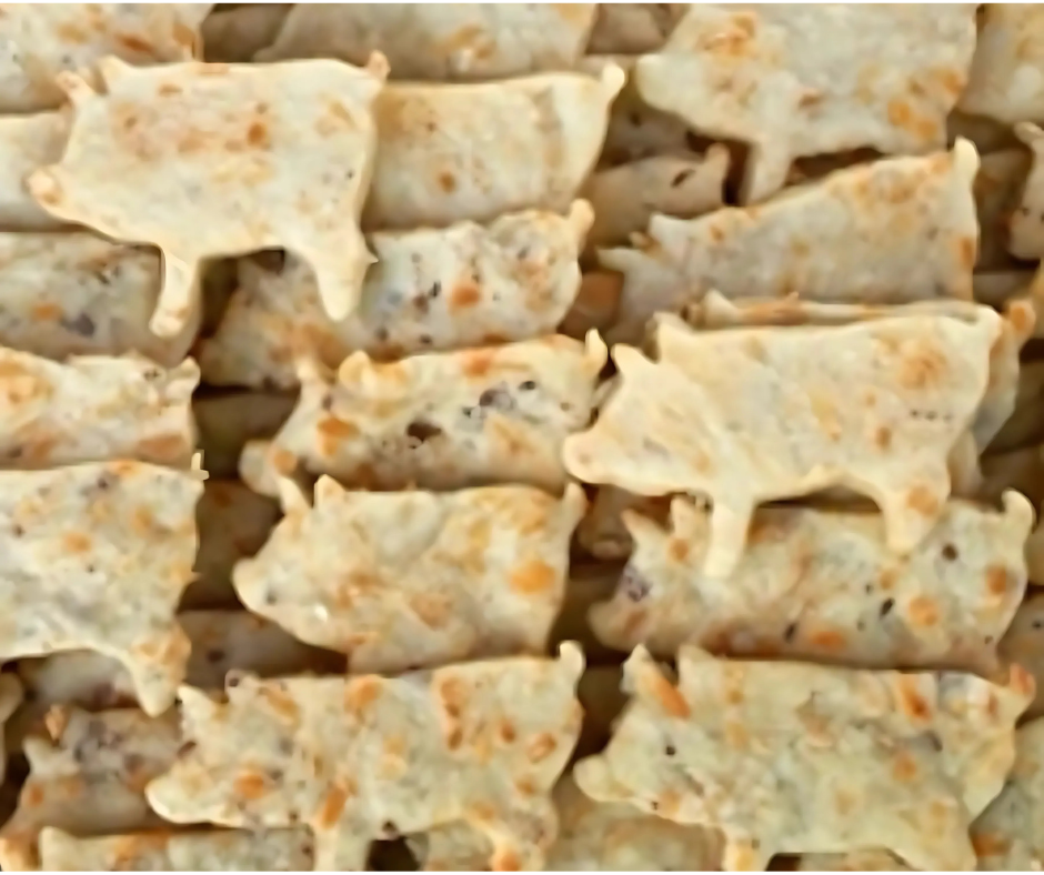 Bacon Cheddar Southern Dog Biscuit – Small Savory Treat with Real Turkey Bacon