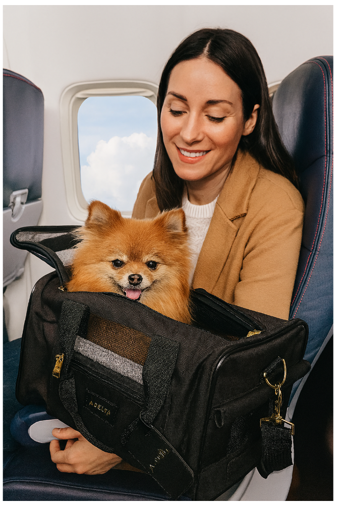 Airline Approved Pet Carrier – SHERPA Delta Deluxe Medium Dog & Cat Ventilated Travel Bag